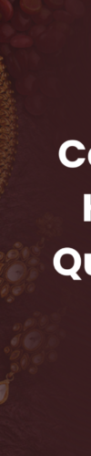 Quick cash for gold in Panchkula